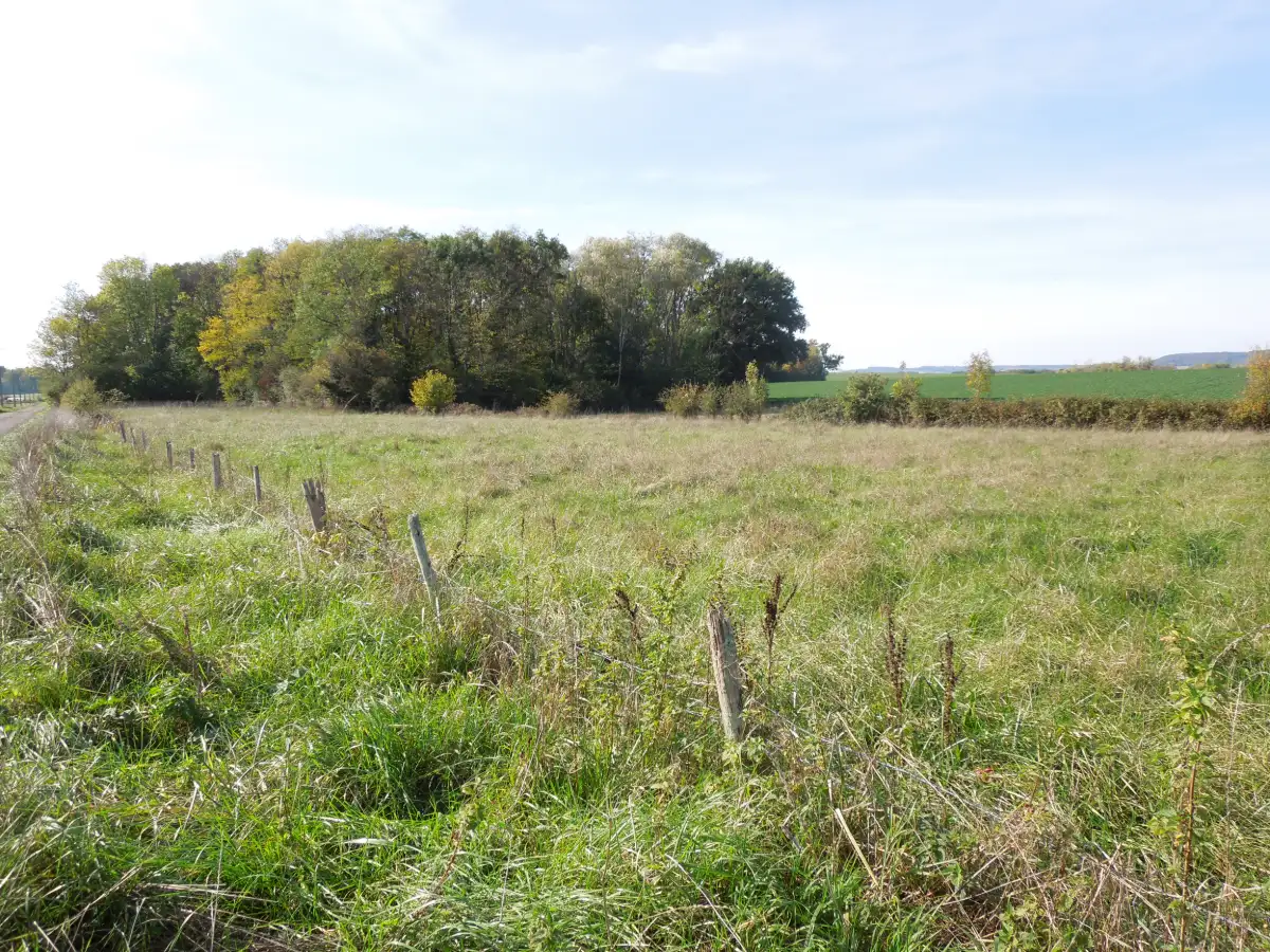 à 2 km d'Ervy-le-Châtel - beau TERRAIN plat de 5 140 m² - Image