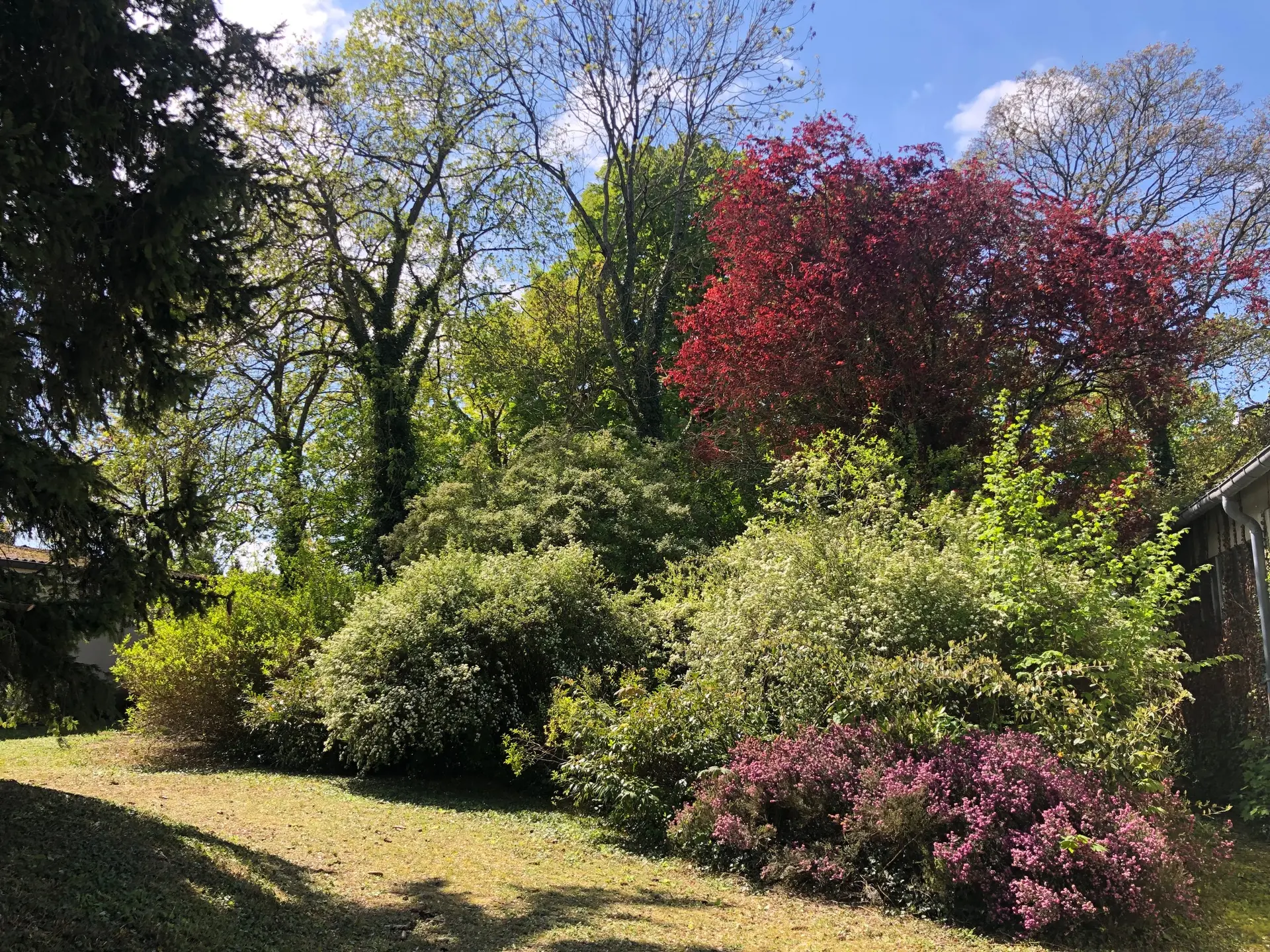 jardin arboré bien entretenu